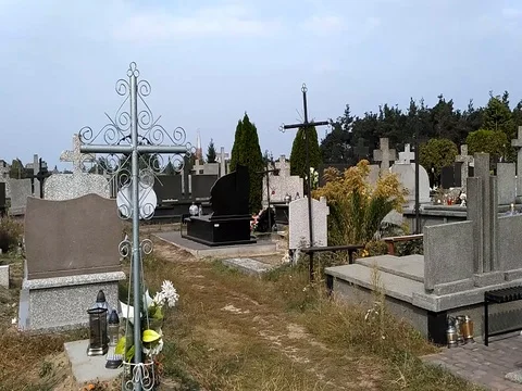 Cemetery in a windy weather Stock Footage 80716030