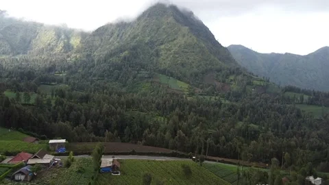 Cemoro Kandang 스톡 동영상 223380109