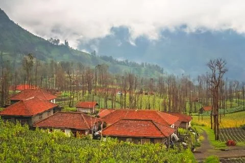 Cemoro Lawang village in Java Foto stock