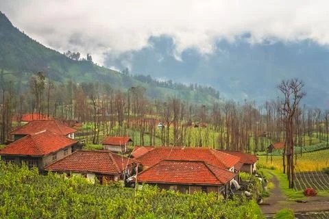 Cemoro Lawang village in Java 写真素材