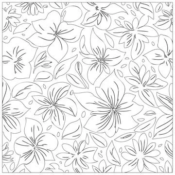 Cempaka Flower illustration pattern outline sketch Stock Illustration