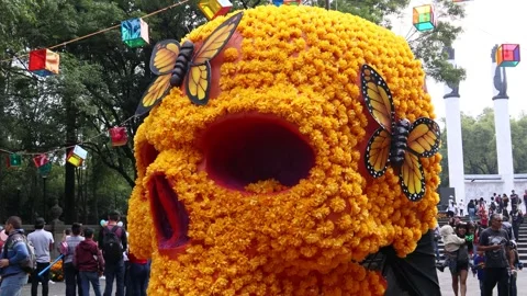 Cempasuchil skull in the Chapultepec forest Stock Footage 243168460