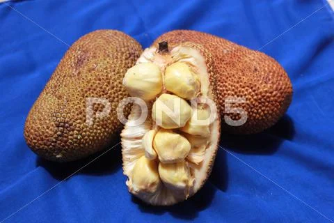 Cempedak Fruits Stock Photos