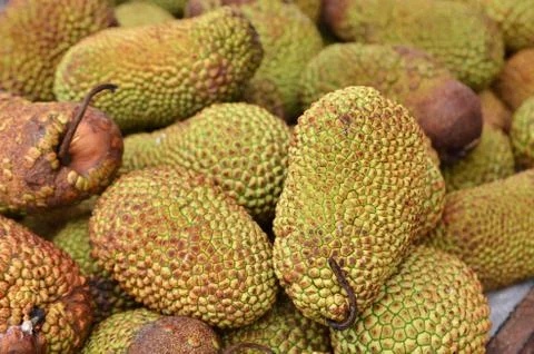 Cempedak or Artocarpus Integer 스톡 사진