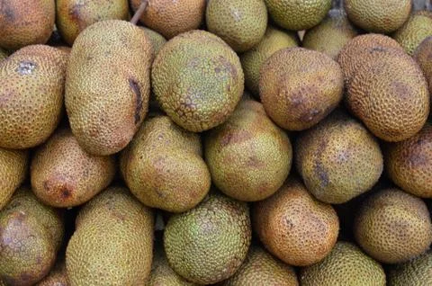 Cempedak Фото
