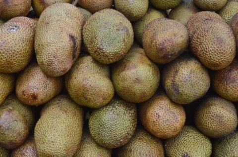 Cempedak Stock Photos