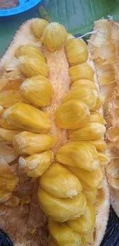 Cempedak, West Java, Indonesia Stock Photos