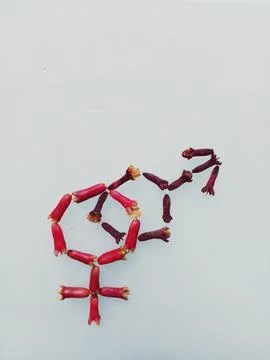 Cengkeh Stock Photos