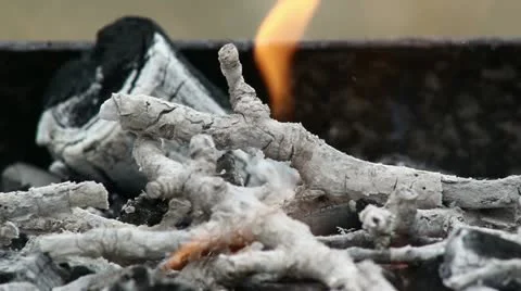 Ceniza02 bruto Stock Footage 10888177