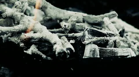 Ceniza05 efecto Stock Footage 10888032