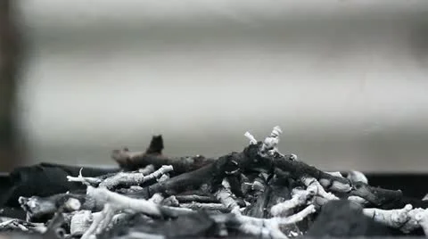 Ceniza3 bruto Stock Footage 10887902