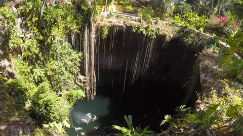Cenote from above Stock Footage 101486045