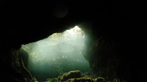 Cenote Cave Dive in Tulum, Mexico 库存影片 36634334