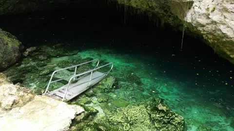 Cenote cave lagoon 17 Stock-Footage 331882606