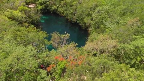 Cenote en cancun Stock Footage 130423224