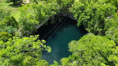 Cenote full landscape 03 Video stock 331883173
