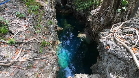 Cenote in the jungle Stock Footage 148378027