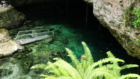 Cenote lagoon cave 18 Stock Footage 331883603