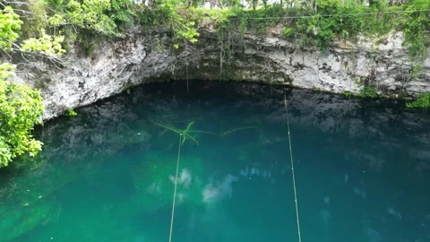 Cenote limestone edges 08 Stock Footage 331883615