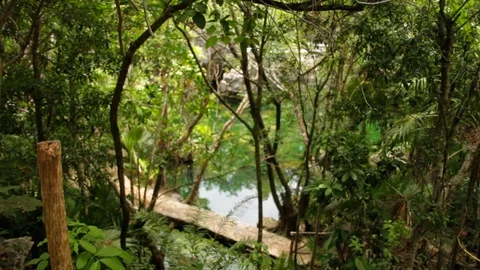 Cenote to Path Stock Footage 94752627