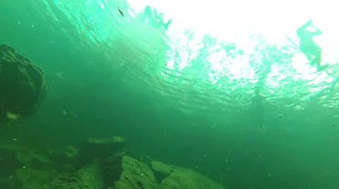Cenote in Tulum, Mexico 库存影片 36633674