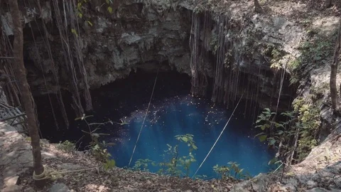 Cenote, view from above Stock Footage 85413627