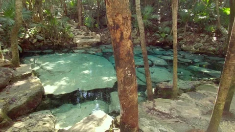 Cenotes in Tulum Tracking Shot Stock Footage 90012411