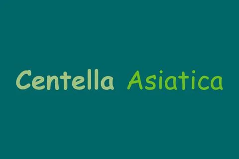 Centella Asiatica medicinal element typography text vector design Stock Illustration