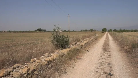 Centennial olive trees in San mateo, Via augusta de Castellon Stock Footage 113351973