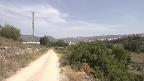 Centennial olive trees in San mateo, Via augusta de Castellon Stock Footage 113352693