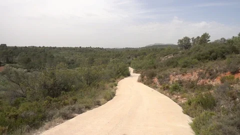 Centennial olive trees in San mateo, Via augusta de Castellon Stock Footage 113353138