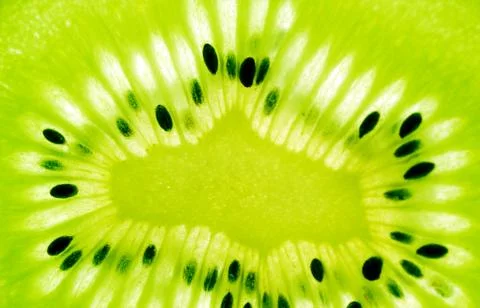 Center of kiwi slice Stock Photos