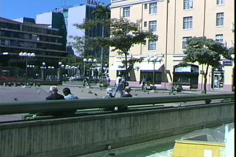 Center Park-pan Видео 816896
