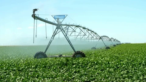 Center Pivot and Linear Irrigation Equipment for Farming Stock Footage 116114569