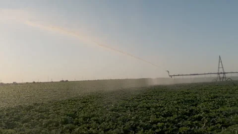 Center pivot crop irrigation or irrigating system for farm management Stock Footage 134630320
