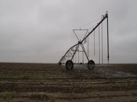 Center Pivot Irrigates Young Corn Crop Field Stock Footage 72545309