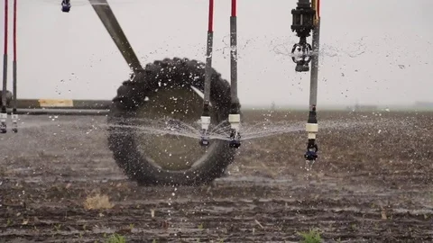Center Pivot Irrigates Young Corn Crop Stock Footage 72594179