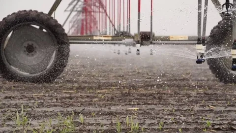 Center Pivot Irrigates Young Corn Crop Stock Footage 72596086