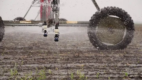 Center Pivot Irrigates Young Corn Crop Stock Footage 72597950