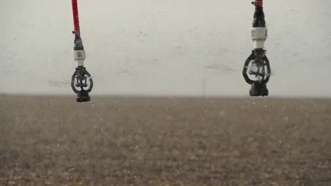 Center Pivot Irrigates Young Corn Crop Stock Footage 72606792