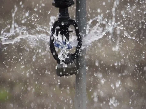 Center Pivot Irrigates Young Corn Crop Stock Footage 72607166