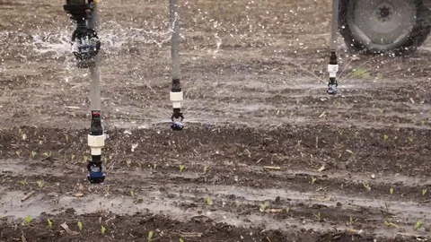 Center Pivot Irrigates Young Corn Crop Stock Footage 72607205