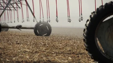 Center Pivot Irrigates Young Corn Crop Stock Footage 72607207
