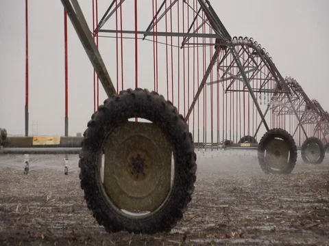 Center Pivot Irrigates Young Corn Crop Stock Footage 72607208