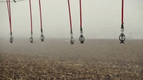 Center Pivot Irrigates Young Corn Crop Stock Footage 72607213