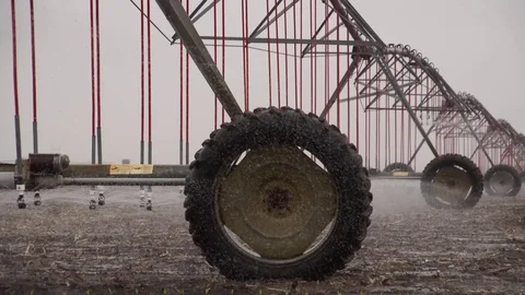 Center Pivot Irrigates Young Corn Crop Stock Footage 72607214