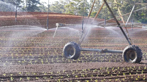 Center pivot irrigation-2 Stock-Footage 34208763