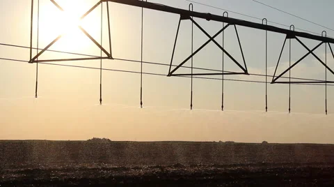 Center pivot irrigation at sunset Stock Footage 56050389