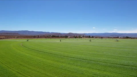 Center Pivot Irrigation System in field Stock Footage 312627812