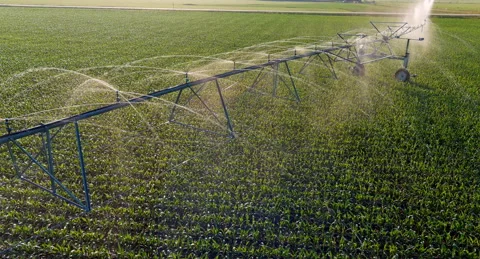 Center Pivot Irrigation system low angle over a corn field Stock-Footage 157886486